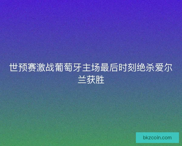 世预赛激战葡萄牙主场最后时刻绝杀爱尔兰获胜
