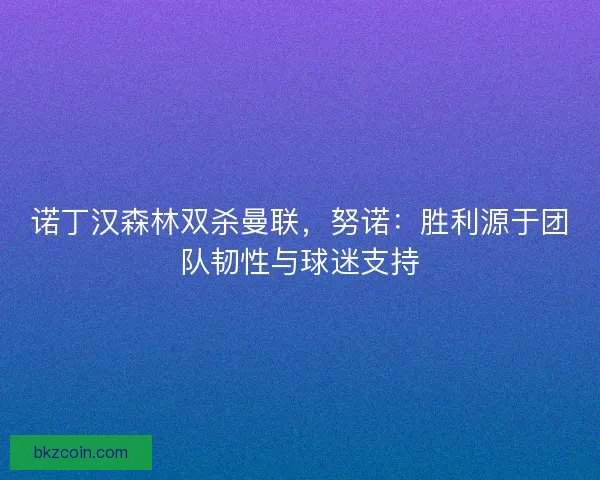 诺丁汉森林双杀曼联，努诺：胜利源于团队韧性与球迷支持