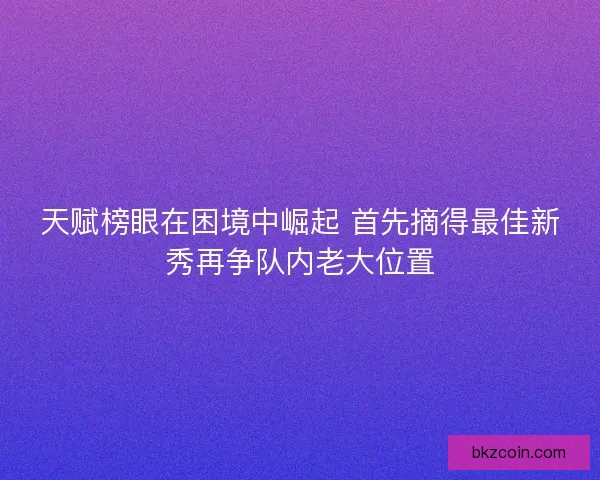 天赋榜眼在困境中崛起 首先摘得最佳新秀再争队内老大位置